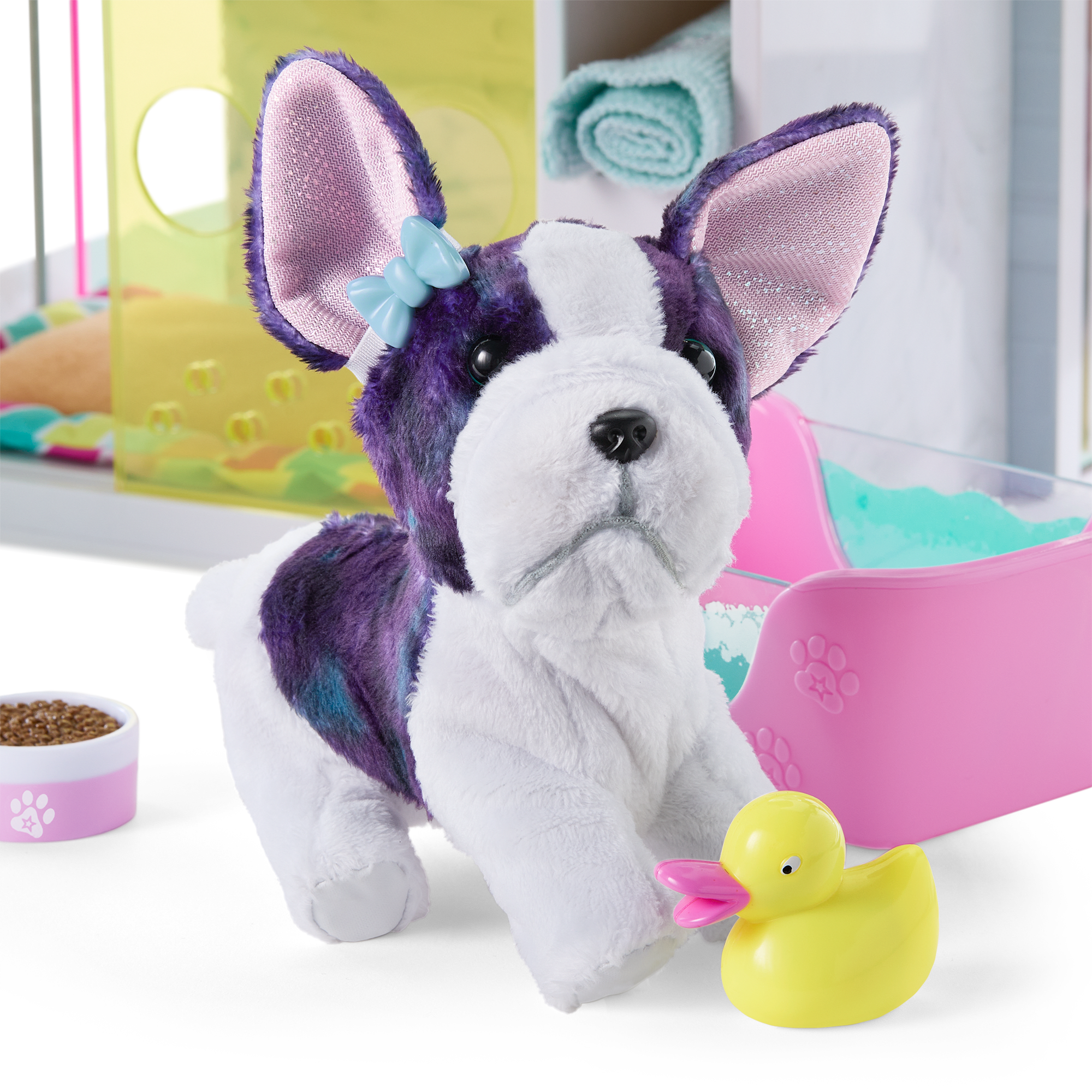 American Girl Pet Spa & Daycare - Image 8