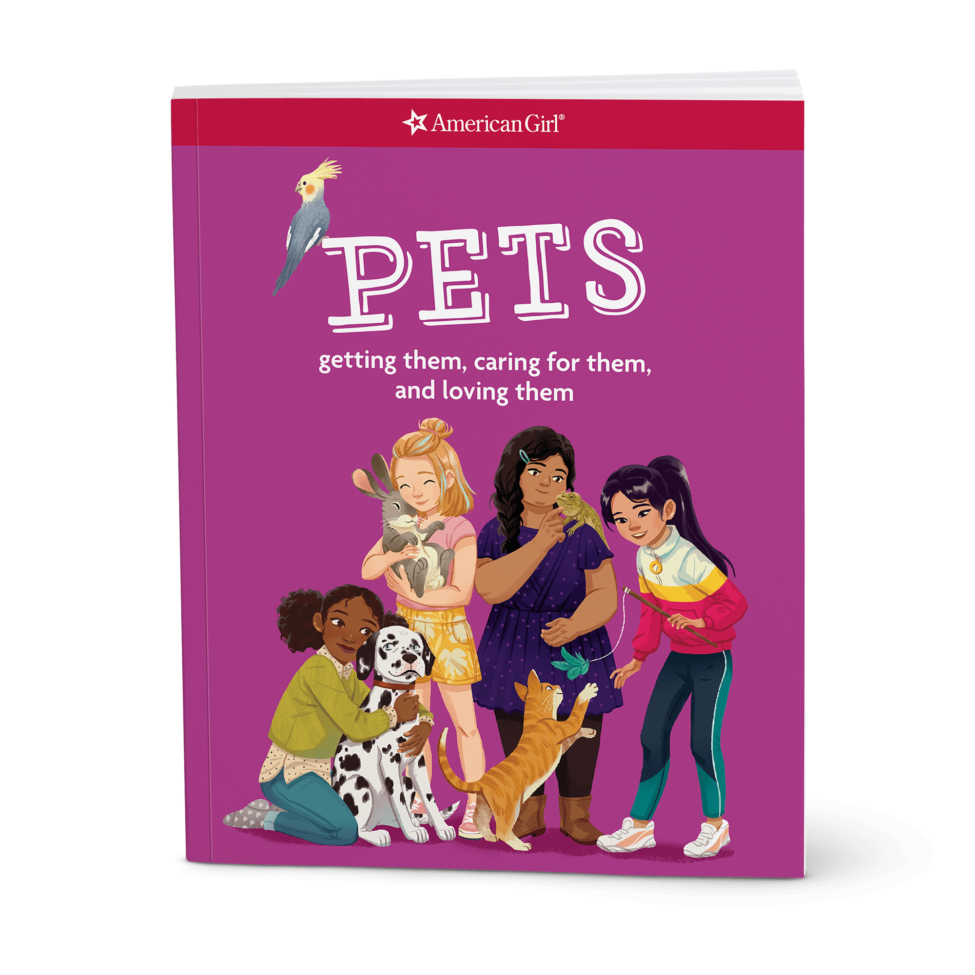 Dog Lover Basket - Image 8